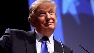 Donald Trump comment
