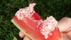 Tequila Soaked Watermelon