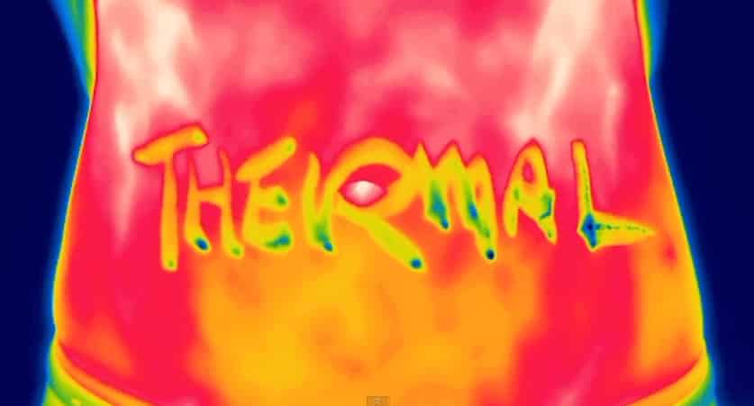 Featured image for This is Your Life. This is Your Life as Seen Through the Lens of a Thermal Camera.