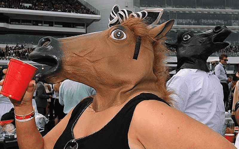 'Drunk Girls of the Melbourne Cup' Hit Instagram - Social ...