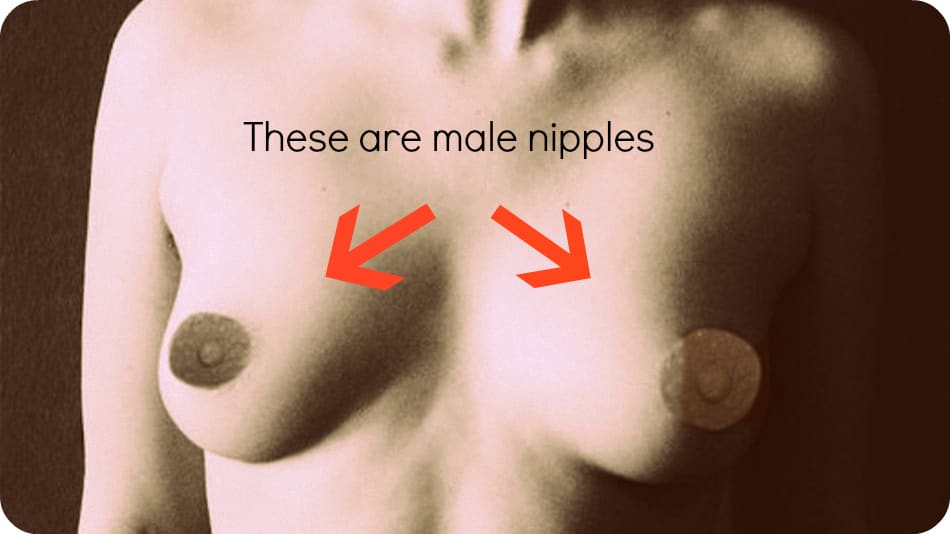 monika belluci pornosu men shaking women nipples