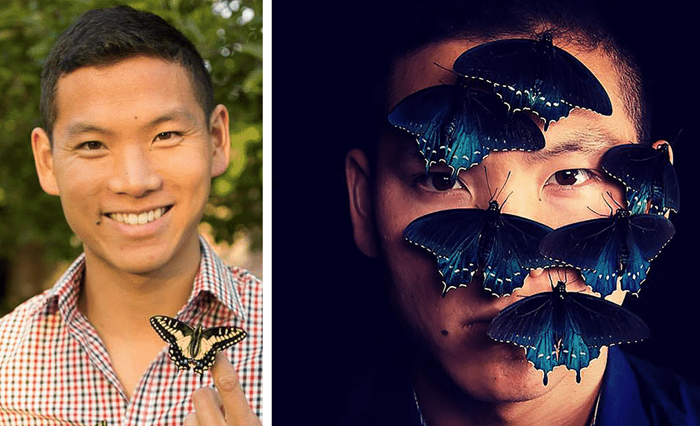 This Man Singlehandedly Revived A Rare Butterfly Breed In His Garden