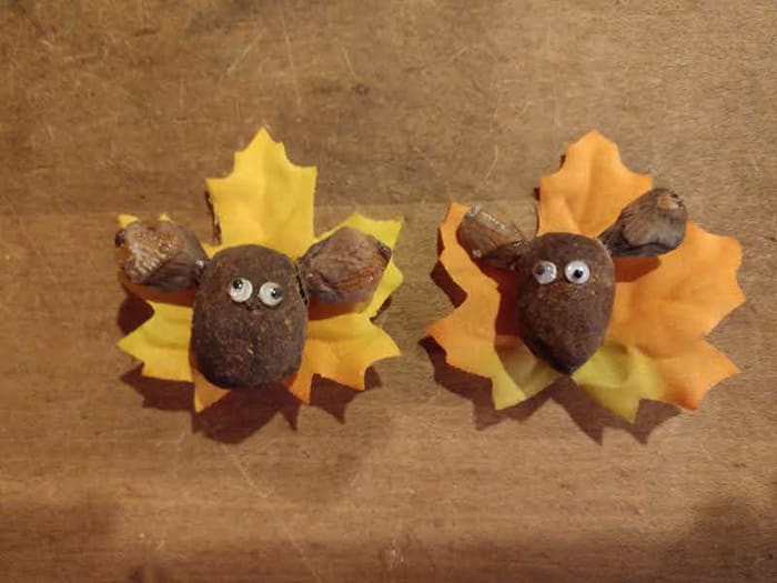 Featured image for Poo-tential Mas-turd-piece: Someone In Maine Makes Art Out Of Moose Poop