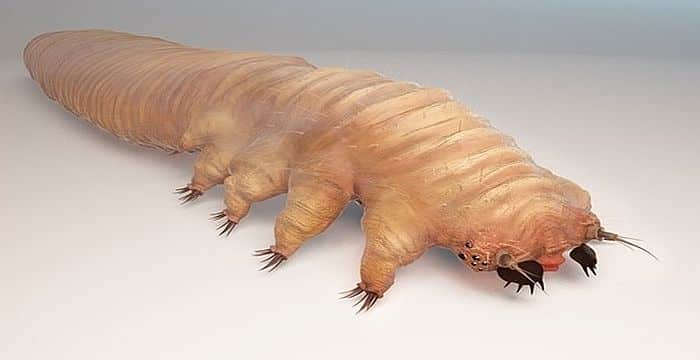 Featured image for Creepy Organisms Living And Crawling On Your Body Right Now