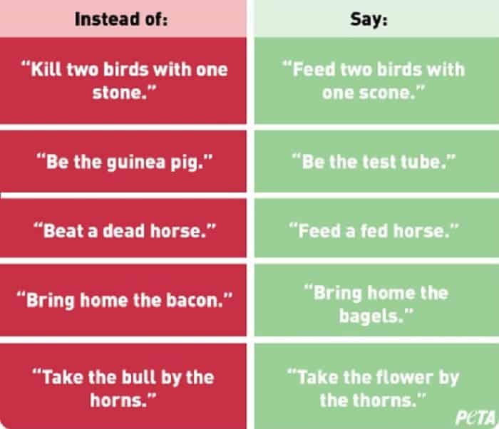 Featured image for PETA Compares Animal Idioms To Racism, Demands End To Them; Gets Dogged Online Instead