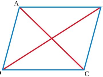 what is a parallelogram