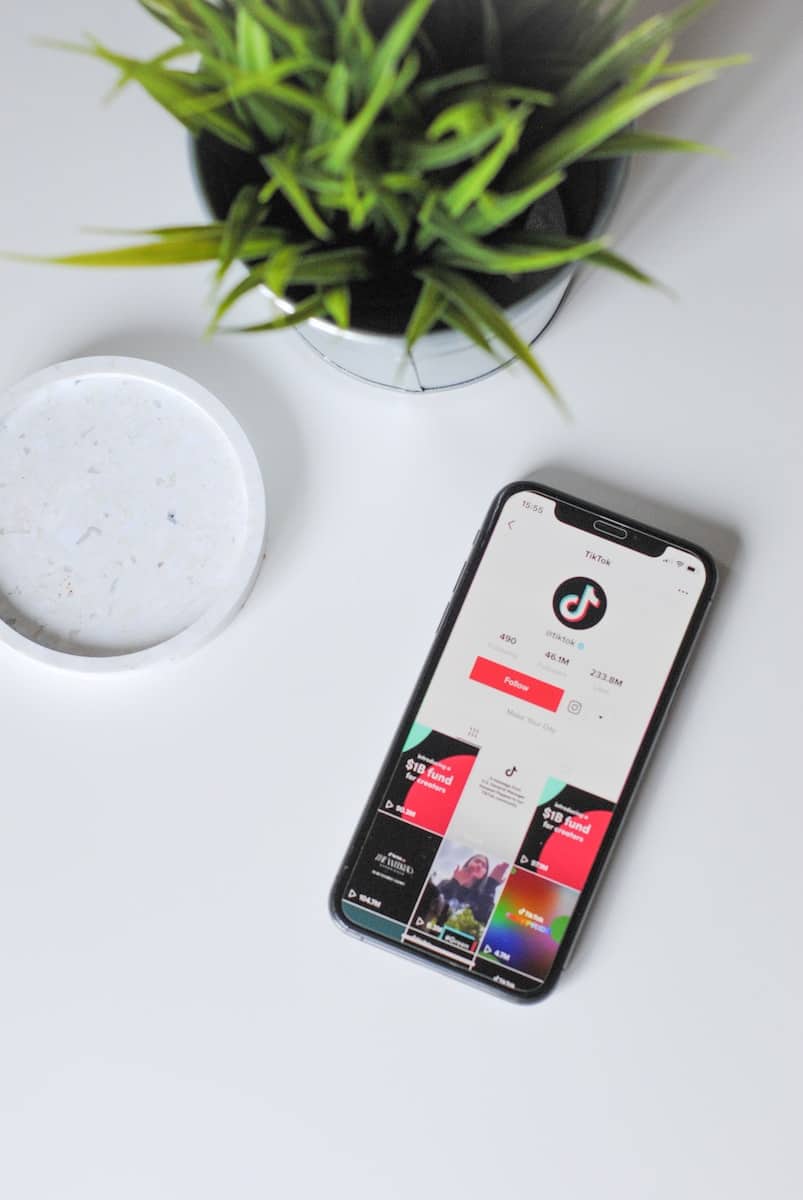How to use TikTok Downloader - Snaptik - Social News Daily - Vimarsana News