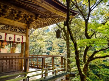 japan, landscape, natural