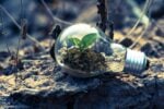 Manage Growth