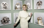katherine heigl