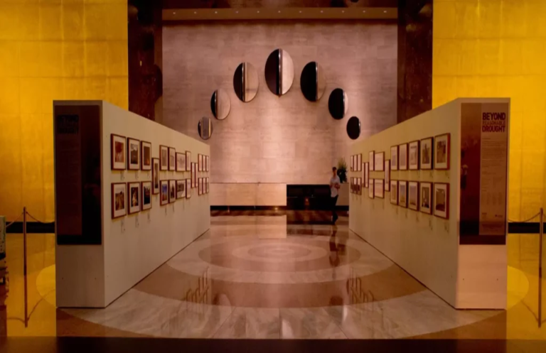 Exhibition Display Services